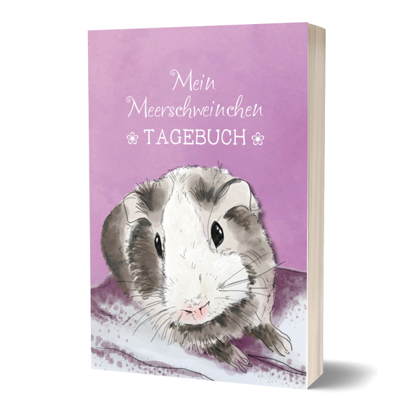 meerschweinchen-pflegebuch für mädchen